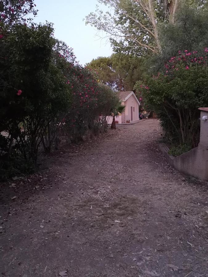 Apartament Guardia Grande 26 Alghero Zewnętrze zdjęcie