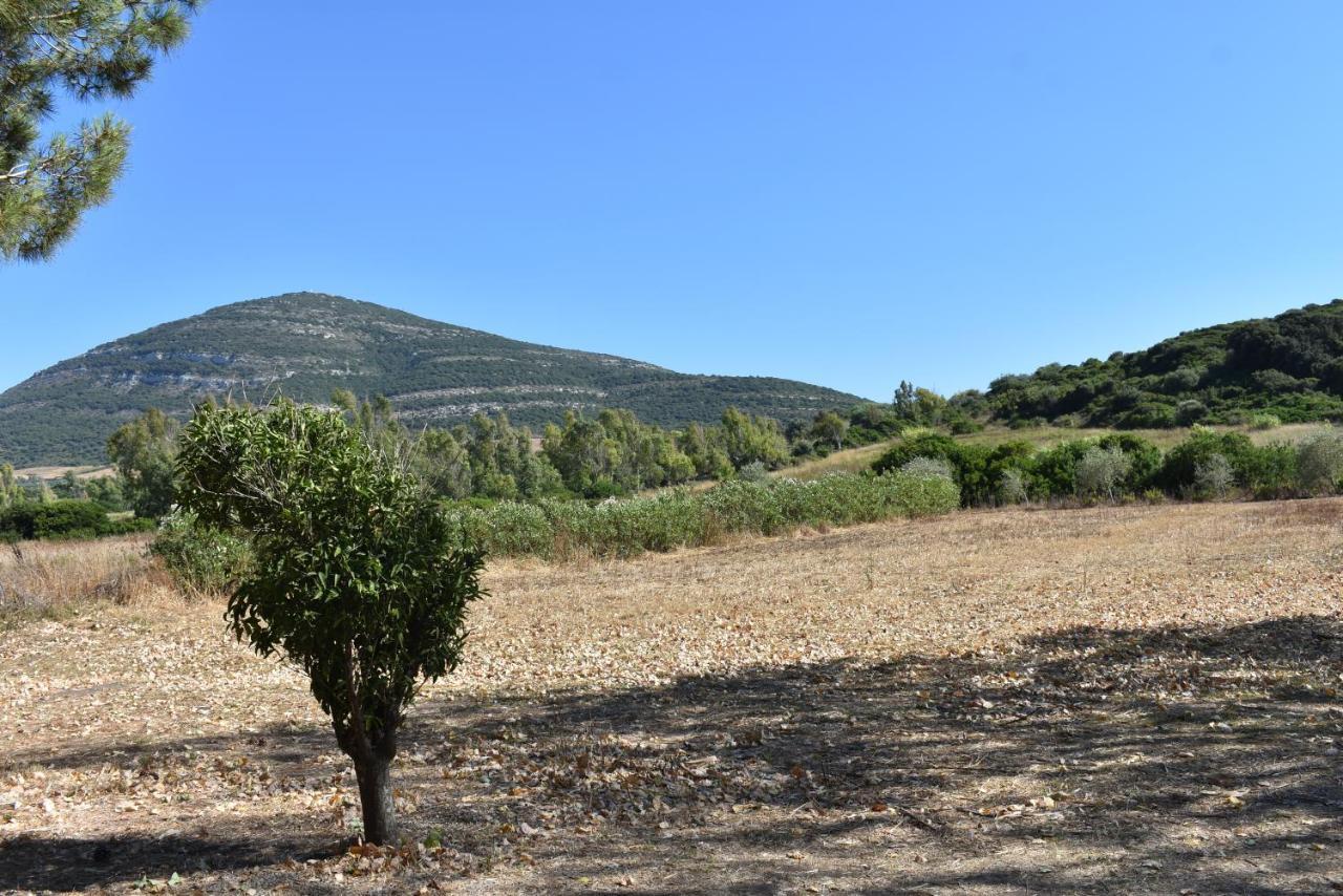 Apartament Guardia Grande 26 Alghero Zewnętrze zdjęcie